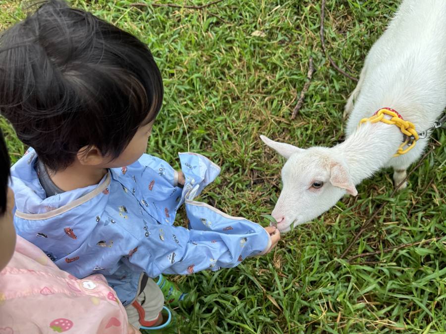 動物とふれあい